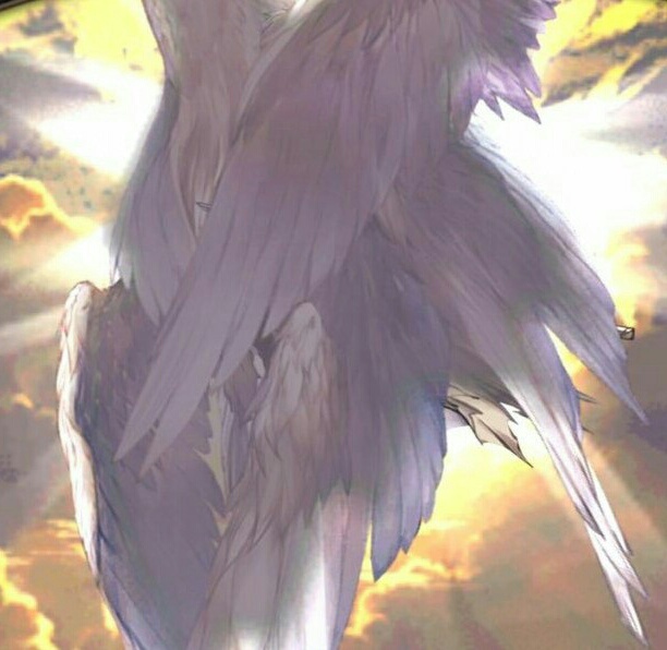 Img flttnq
